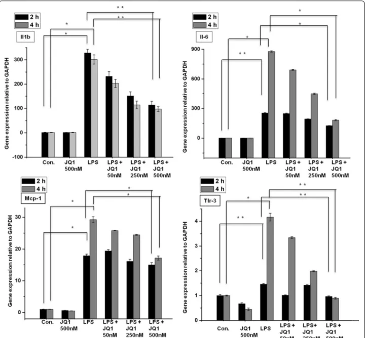 Figure 4 Inhibitory effect of JQ1 on LPS-induced BV-2 microglial cells. BV-2 microglial cells were treated with different concentrations of JQ1 for 2 and 4 h, followed by treatment with LPS (10 ng/ml)