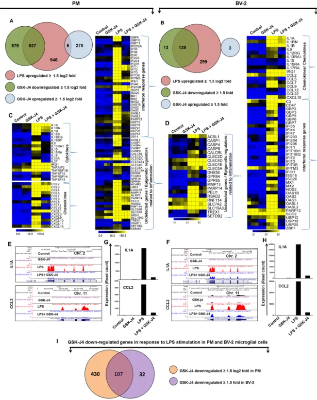 Figure 3.  GSK-J4 suppresses a specific subset of LPS-inducible genes in PM and BV-2 microglial cells