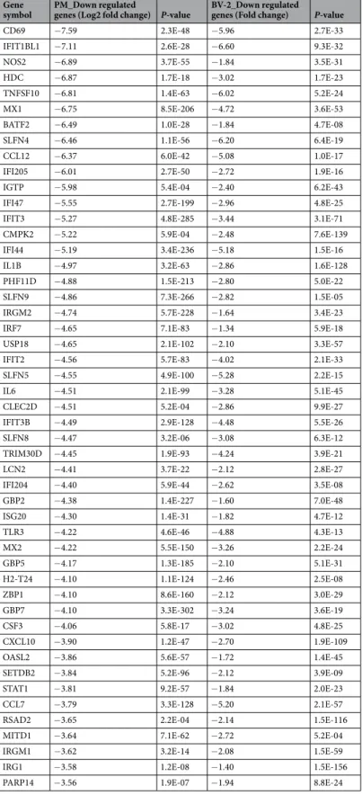 Table 3.  Top 50 GSK-J4 down-regulated common genes in LPS treated PM and BV-2 microglial cells.