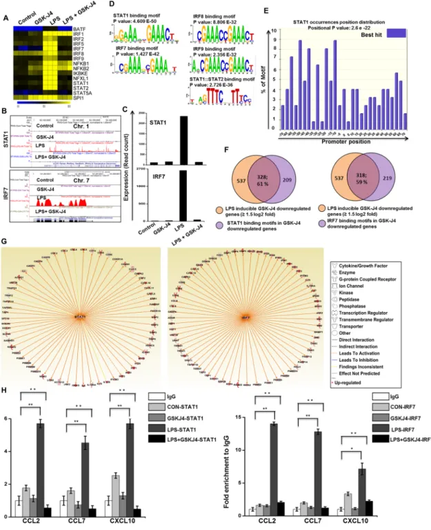 Figure 4.  Inhibitory effect of GSK-J4 on LPS-induced key TFs in PM. (A) A heat map representation of TF  expression levels that were selectively down-regulated (P ≤ 0.01, and log 2 -fold change ≥1.5) by GSK-J4 at 4-h  after LPS stimulation, from three ind