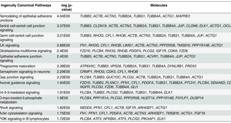 Table 1. Top 15 enriched canonical pathways of all differentially expressed genes in the EB vs