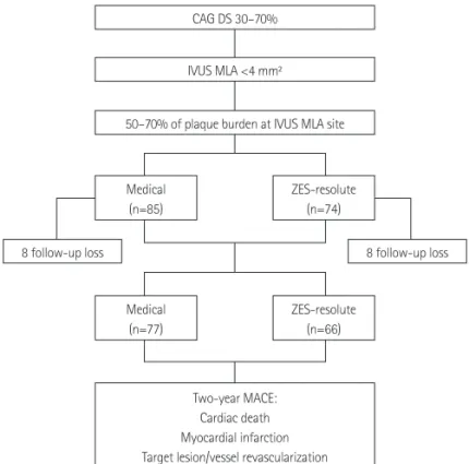 Fig. 1. Flow diagram of the patients enrolled in MINIATURE study. CAG: 