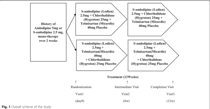 Fig. 1 Overall scheme of the study