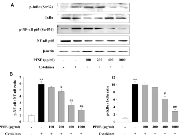 Fig.  4.  Inhibition  effect  of  PFSE  on  the  expression  of  NF-κB  activation  and  IκBα phosphorylation  in  cytokine-induced  RINm5F  cells