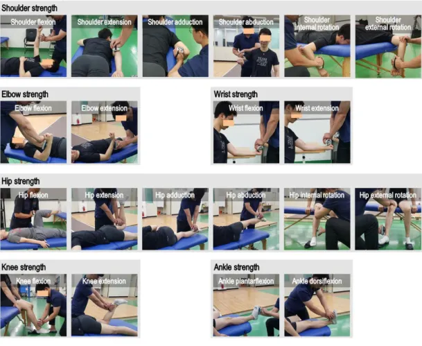 Fig.  1.  Manual  muscle  test
