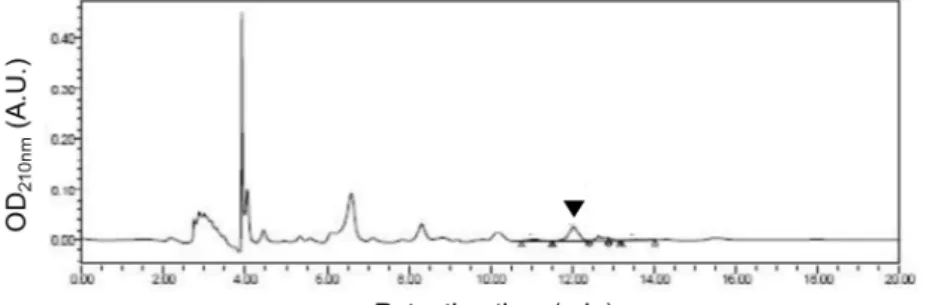Fig.  1.  HPLC  chromatogram  to  determine  the  amount  of  cycloalliin  in  fermented  garlic  extract