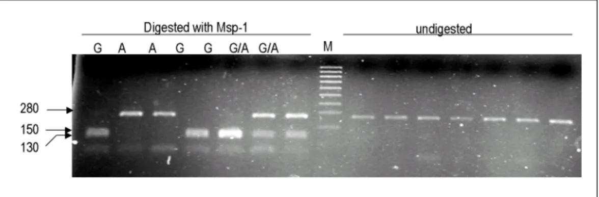 Table 3. Frequency of Each Genotype of the Human PGC-1 Gene by  PCR-SSCP Analyses Nucleotide position amino acidsubstitution Frequency G1182A Thr394Thr 0.10 C1428G Asp476Glu 0.18 G1444A Gly428Ser 0.42 A1584G Thr528Thr 0.15