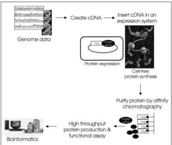 그림 1. Schematic outline of proteome project.