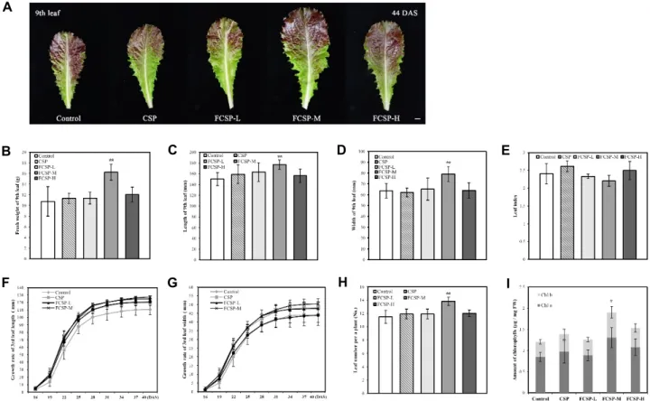Fig.  1.  The  growth  promoting  on  effect  of  lettuce  by  Fe-chelating  crab  shell  powder  (FCSP)  in  laboratory