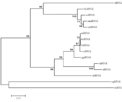 Table  2.    The  amino  acid  sequence  identity  and  similarity  between  BTG1  of  pacific  oyster  (Crassostrea  gigas)  and  other  BTG  families Sequence  for