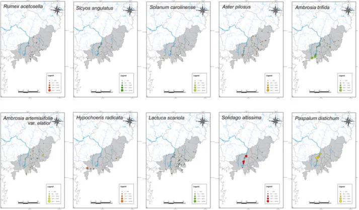 Fig  5.  Distribution  pattern  of  invasive  species  in  Busan  metropolitan  city. 구,  수영구,  사상구 및 북구에 제한적인 분포를 나타내는 것으 로 확인되었다