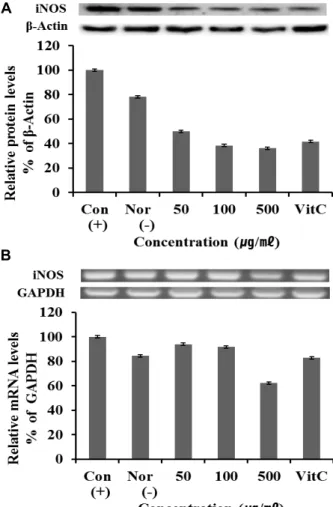 Fig.  2.  Effect  of  Vaccinum  oldhami  fruit  extract  on  production  of  nitric  oxide  in  RAW  264.7  cell