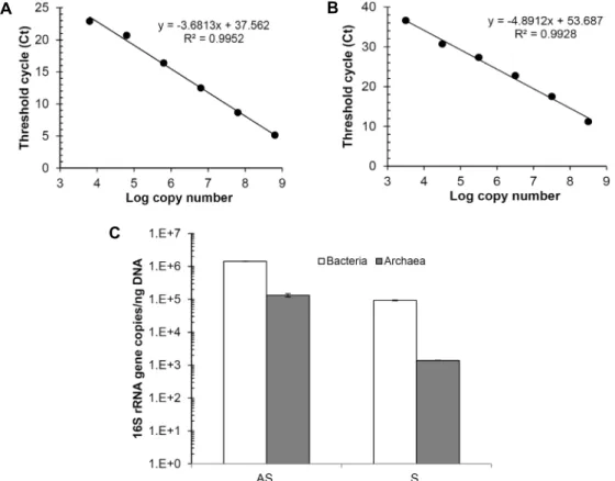 Fig.  1.  Quantification  of  bacterial  and  archaeal  16S  rRNA  genes.  (A)  Standard  curve  of  bacterial  16S  rRNA  gene  copy  numbers  and  threshold  cycles  (Ct)  using  purified  PCR  product  of  E