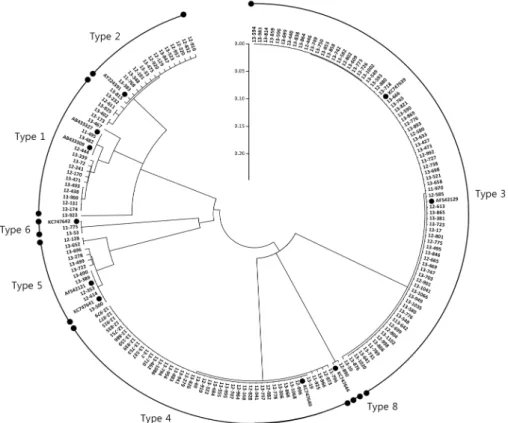 Fig.  5.  Phylogenetic  analysis  of  the  hexon  gene  sequence  in  adenovirus.