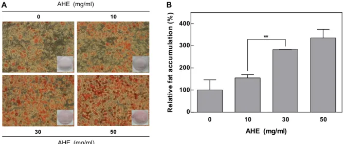 Fig.  1.  Enhancing  effect  of  AHE  on  adipocyte  differentiation.  Adipocyte  differentiation  was  induced  with  a  mixture  of  insulin  (0.1  μg/ml),  IBMX  (0.5  mM)  and  dexamethasone  (1  μM)