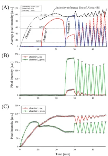 Fig. 3 (A) Overall ﬂuorescence intensity tracked in each micro-