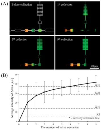 Fig. 4 Time-lapse images showing the dispersion of isolated plug