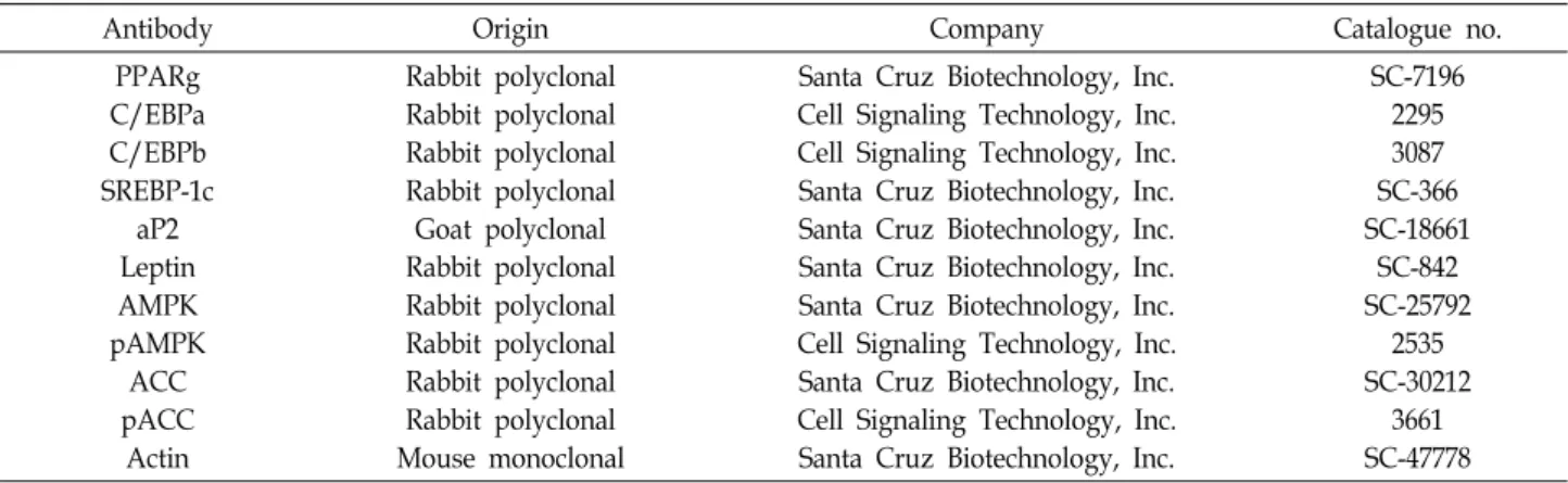 Table  1.  List  of  antibodies  used  in  the  present  study