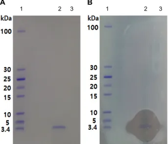 Table  3.  Purification  of  the  bacteriocin Purification  step Total  volume