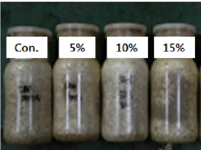 Fig.  1.  The  effects  of  the  additional  concentration  of  herb  medi- medi-cine  refuse  on  mycelium  growth  of  Flammulina  velutipes.