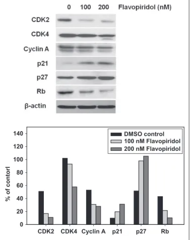 Figure 3. Effect of flavopiridol treatment on the cell cycle profile.