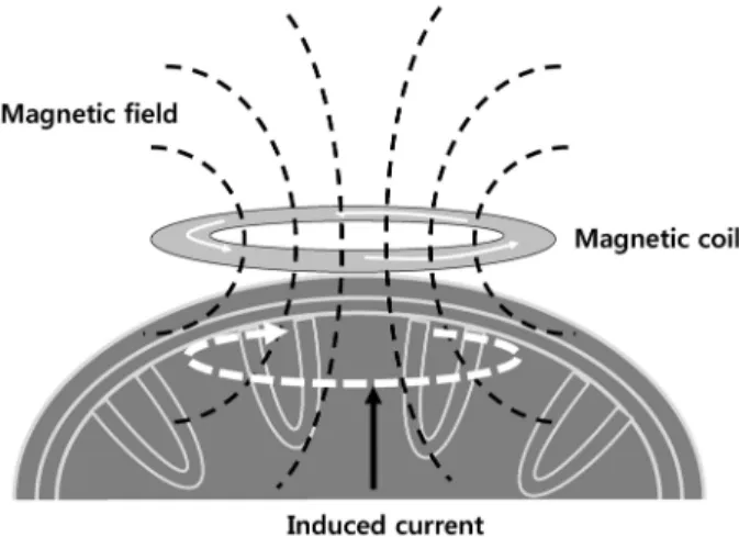 Figure 2. (A) Circular coil, (B) Eight coil.