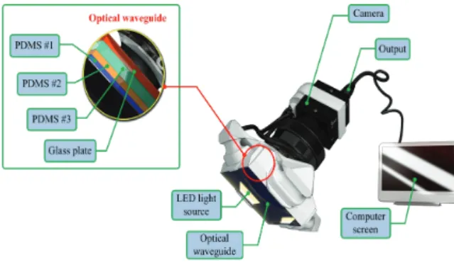 Fig. 1. The schematic of the elasticity imaging   sensor (EIS). 