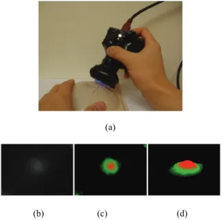 Fig. 3. The tumor diameter (d), the depth (h), and the  Young’s modulus (E). 