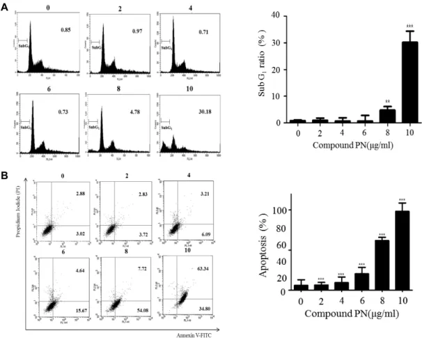 Fig.  7.  Compound  PN  induces  cell  cycle  arrest  and  apoptosis  in  prostate  cancer  PC-3  cells