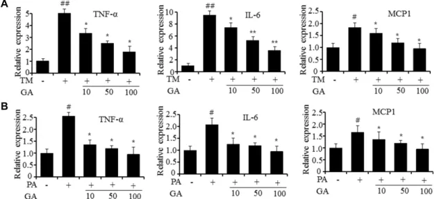 Fig.  2.  Gomisin  A  represses  the  expression  of  inflammatory  genes  in  HepG2  cell
