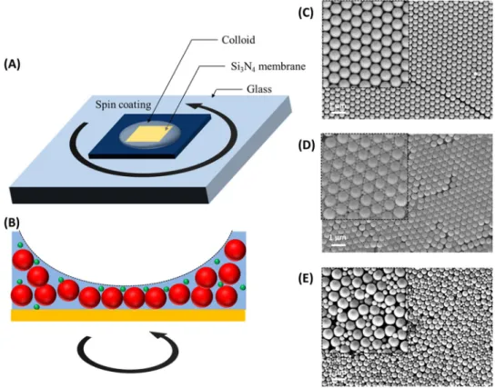 Figure 1. (A) Schematic illustration of the spin coating method for the fabrication of binary colloidal crystals 