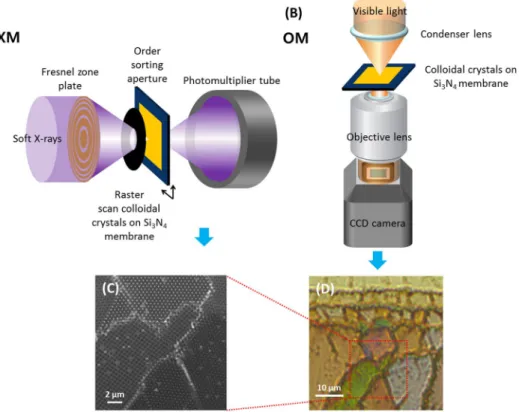 Figure 2.  Schematic illustration of (A) scanning transmission X-ray microscopy (STXM) and (B) optical 