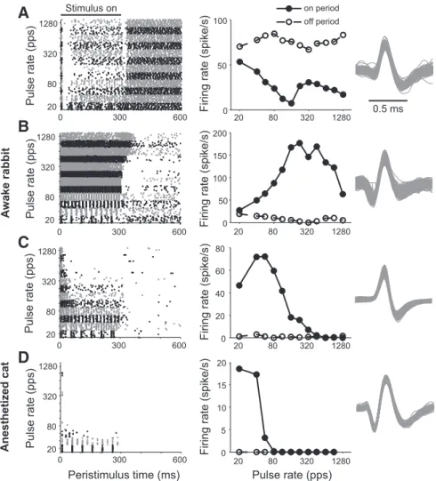 Figure 1. Temporal response pattern (left), average firing rates (middle), and spike waveforms (right) in response to trains of biphasic pulses of different rates for three example IC neurons in awake rabbit (A–C) and one neuron from anesthetized cat (D).