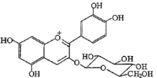 Fig.  1.  Chemical  structure  of  cyanidin-3-O-glucoside.