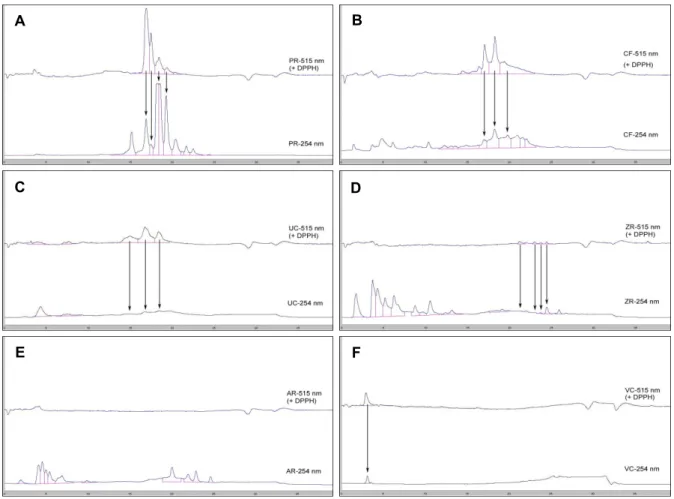 Fig.  2.  LC-UV  detector  profiles  and  DPPH  radical  scavenging  effects  of  samples