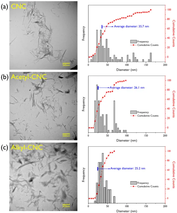 Figure 2. TEM images and diameter distributions of (a) CNC, (b) acetyl-CNC, and (c). 