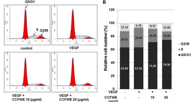 Fig.  2.  CCFWE  causes  a  G0/G1  arrest  in  HUVECs.  HUVECs  were  preincubated  with  increasing  concentrations  of  CCFWE  for  40  min  and  treated  with  VEGF  (20  ng/ml)  for  up  to  24  hr