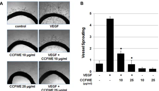 Fig.  6.  CCFWE  inhibits  vessel  sprouting  from  rat  aorta.  Rat  aortic  rings  were  placed  in  Matrigel  and  treated  with  10  or  25  μg/ml  CCFWE  before  the  exposure  to  VEGF  (20  ng/ml)