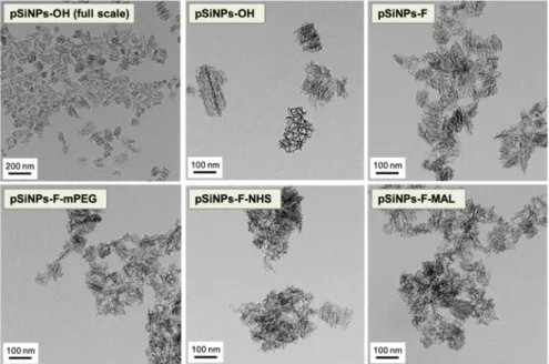 Figure 3. Transmission electron microscopy (TEM) images of oxidized pSiNPs (pSiNPs-OH) and its  surface-functionalized samples