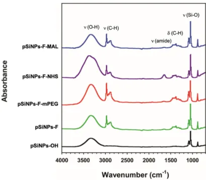 Figure 3. Transmission electron microscopy (TEM) images of oxidized pSiNPs (pSiNPs-OH) and its 