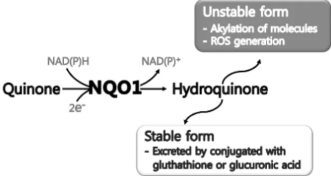 Fig. 1. Double, protection and detoxification roles of NQO1.