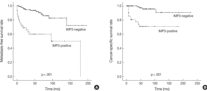 Fig. 2. Kaplan-Meier curves depicting the impact of insulin-like growth factor II mRNA-binding protein 3 (IMP3) expression on the metasta- metasta-sis-free survival (A) and cancer-specific survival (B) of patients with clear cell renal cell carcinoma