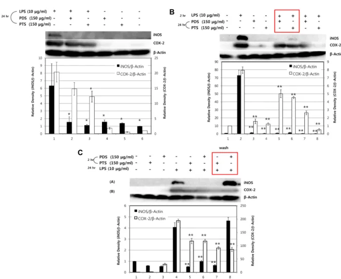Fig.  4.  The  effects  of  PDS  or  PTS  on  the  expression  of  iNOS  or  COX-2  in  LPS-stimulated  RAW264.7  cells
