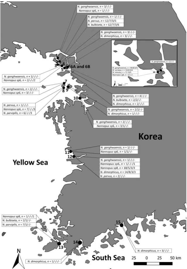 Fig. 1. Distribution and sampling sites of nine Nannopus species in Korean waters. The numbers represent the number of fragments of mtCOI/mtCYTB/18SrDNA/ 28SrDNA amplified from each site