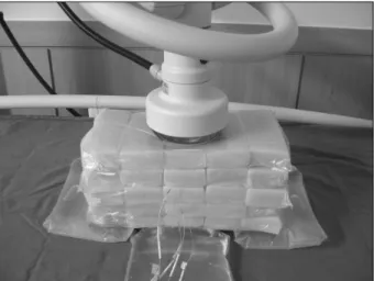 Fig.  1.  Agar  phantom  and  temperature  sensor.  Size  32×6×3  cm 3 .32×6×3  cm3  두께의 팬텀을 25개 제작하였다
