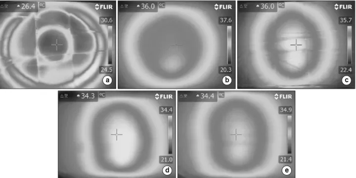 Fig.  2.  Thermal  distribution  of  25∼25  cm  electrode  (liver  protocol  session  5),  (a)  surface,  (b)  depth  3  cm,  (c)  depth  6  cm,  (d)  depth  9  cm,  (e)  depth  12  cm
