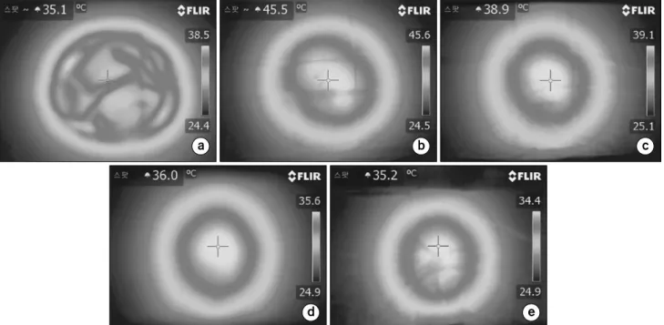 Fig.  4.  Thermal  distribution  of  15∼15  cm  electrode  (liver  protocol  session  5),  (a)  surface,  (b)  depth  3  cm,  (c)  depth  6  cm,  (d)  depth  9  cm,  (e)  depth  12  cm.