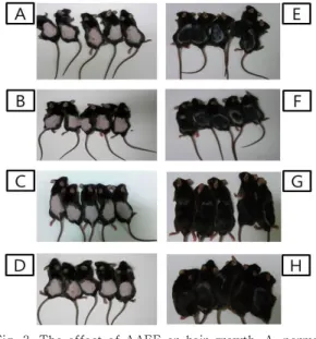 Fig.  1.  Changes  of  body  weight