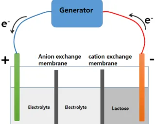 Fig.  2.  Schematic  representation  of  the  electro-activation  reactor. 한 관심이 높아 지면서 유기용매 및 화학 촉매에 대한 정화 비용과 함께 화학합성에 대한 환경오염 문제에 대한 사회적 인식이 재고되고 있다