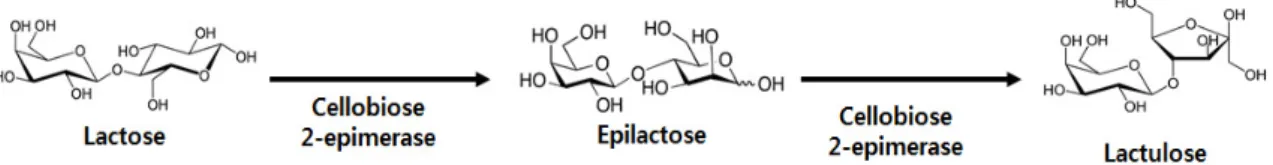 Fig.  4.  Enzymatic  conversion  of  lactulose  by  cellobiose  2-epimerase.